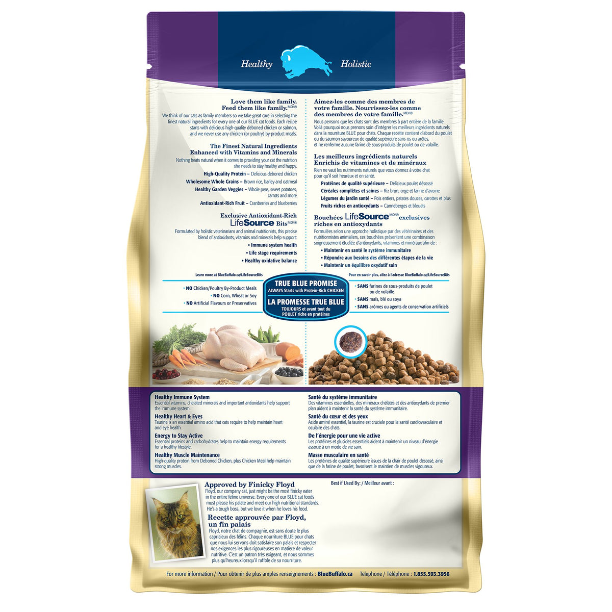 Blue buffalo cat 2024 food healthy aging