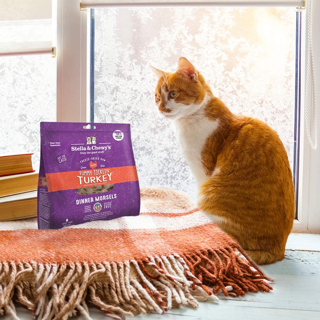 Stella and chewy clearance freeze dried cat food