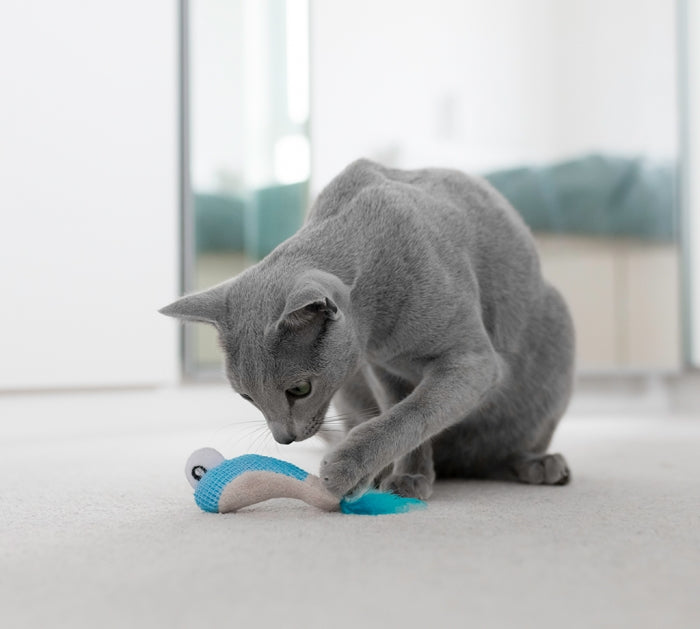 Dental 2024 cat toys