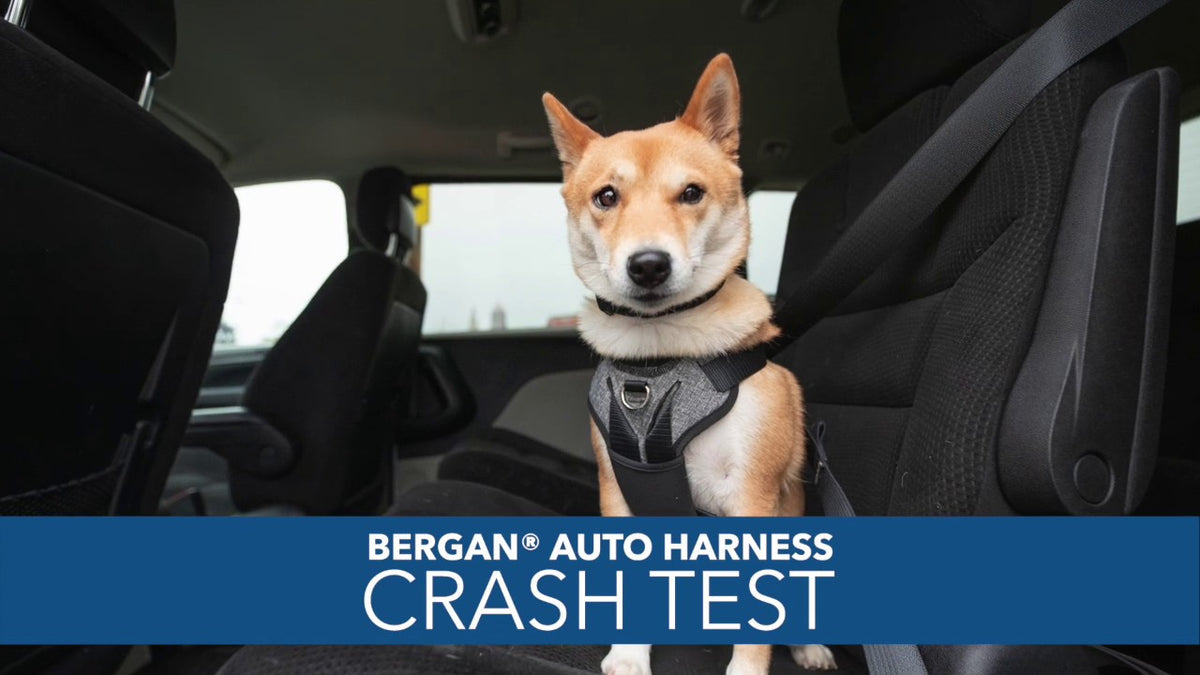 Bergan auto sale harness