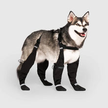 Load image into Gallery viewer, Canada Pooch Suspender Winter Dog Boots