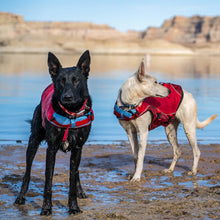 Load image into Gallery viewer, Kurgo Surf N Turf Life Jacket Chili Red