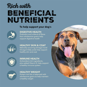 Acana Healthy Grains Sea to Stream Dry Dog Food