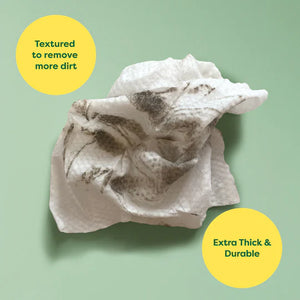 Earth Rated Textured Dog Grooming Wipes