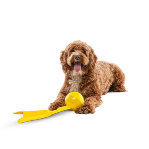 GURU Bonanza Ball Dog Toy