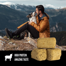 Load image into Gallery viewer, Orijen Lamb Freeze Dried Dog Treats