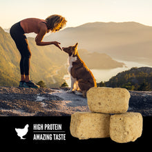 Load image into Gallery viewer, Orijen Original Freeze Dried Dog Treats