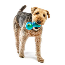 Load image into Gallery viewer, GURU Duo Ball Dog Toy