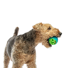 Load image into Gallery viewer, GURU Pocket Ball Dog Toy