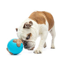 Load image into Gallery viewer, GURU Busy Ball Dog Toy