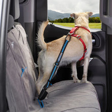 Load image into Gallery viewer, Kurgo Direct to Seatbelt Tether Blue 15-22 INCH