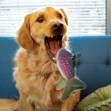 Load image into Gallery viewer, Kong Wild Shieldz Trout Fetch Dog Toy