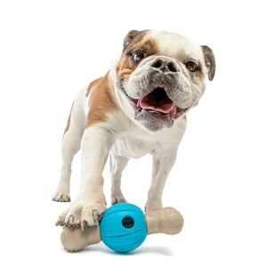 GURU Spin & Chew Bone Dog Toy