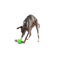 Load image into Gallery viewer, GURU Spin &amp; Treat Stick Dog Toy