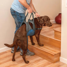 Load image into Gallery viewer, Kurgo Up &amp; About Dog Lifter