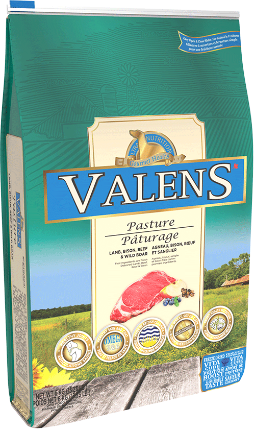 Valens Pasture Lamb, Bison, Beef & Wild Boar Dog Food