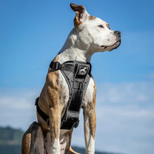 Load image into Gallery viewer, Kurgo Enhanced Strength Tru-Fit Car Dog Harness