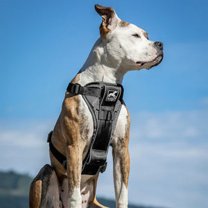 Kurgo Enhanced Strength Tru-Fit Car Dog Harness