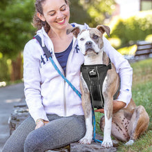 Load image into Gallery viewer, Kurgo Enhanced Strength Tru-Fit Car Dog Harness