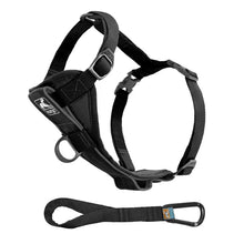 Load image into Gallery viewer, Kurgo Enhanced Strength Tru-Fit Car Dog Harness