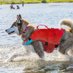 Kurgo Surf N Turf Life Jacket Chili Red