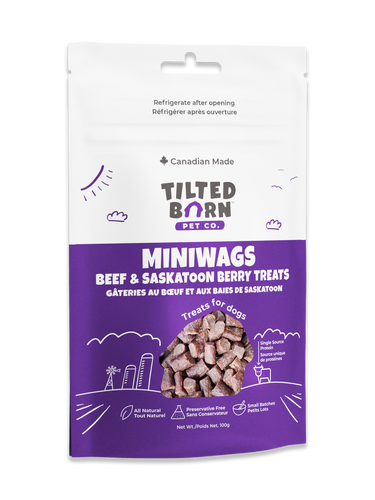 Tilted Barn Canadian Beef & Saskatoon Berry Miniwags Dog Treats