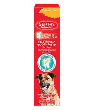 Petrodex 2024 dog toothpaste