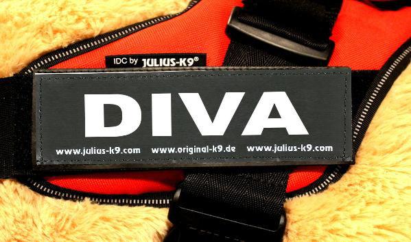 Diva dog harness best sale